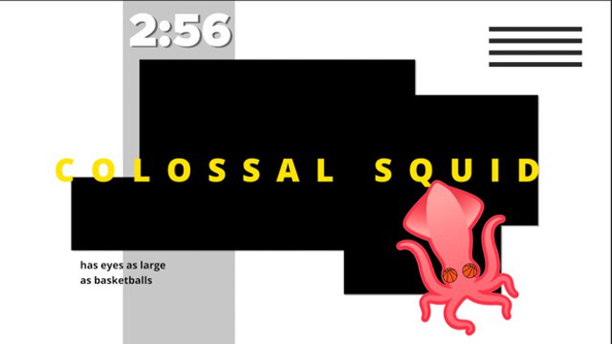 Five-Minute Animal Fun Fact Countdown image number null